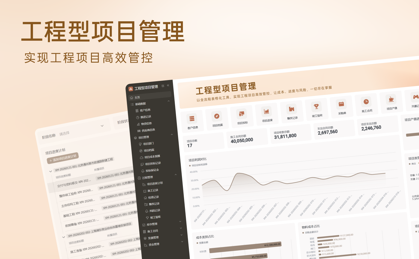 工程型项目管理